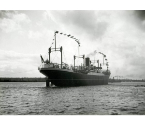 Charles Schiaffino - cargo