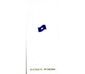 Dépliant - Banque Worms